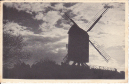 Delcampe - Coxyde - St-Idesbald:  De Oude Molen; 1956 - Koksijde