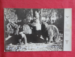 RPPC  The California  Bear   Not Mailed  Ref 1130 - Ours