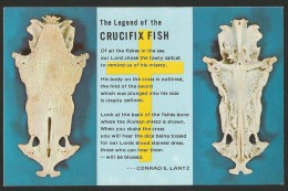 LEGEND Of The CRUZIFIX FISH The Lowly Sailcat St. Petersburg Florida USA 1978 - St Petersburg