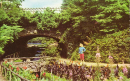 Tunnel Berg En Bos - Apeldoorn