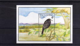 GAMBIA 1989 BIRDS FAUNA BUFFALO WEAVER BIRD SOUVENIR SHEET UCCELLI UCCELLO BUFALO FOGLIETTO MNH - Gambia (1965-...)