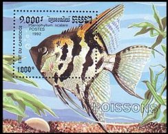 Cambodge Poissons D&acute;aquarium Fish Fishes Fisches MNH ** Neuf SC (3-478) - Cambogia