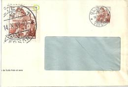 Brief  Olten  (Markenabart San Salvatore)          1949 - Briefe U. Dokumente