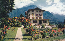 Suisse - Wilderswill - Hotel Kurhaus Belmont - Belmont