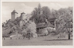 Suisse - Murten-Morat - Château - Ferme Au Pied Du Château - Morat