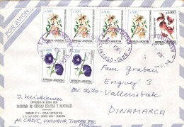 ARGENTINA  #  LETTER - Postal Stationery