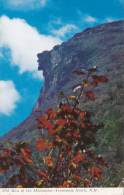 Old Man Of The Mountains - Franconia Notch, N.H. (colorised) - White Mountains