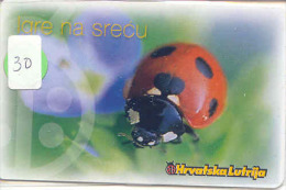 Ladybird Coccinelle Lieveheersbeestje Insect (30) - Coccinelles