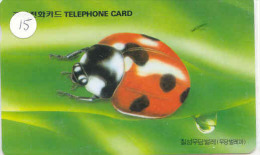 Ladybird Coccinelle Lieveheersbeestje Insect (15) - Ladybugs