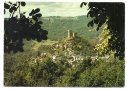 CP, 12, NAJAC, Vue Générale De La Ville, Dominée Par Le Château (XIIIe S.), Vierge - Najac