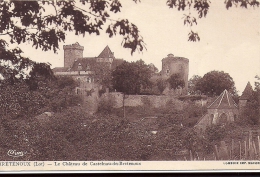 BRETENOUX   LE CHATEAU DE CASTELNAU DE BRETENOUX - Bretenoux