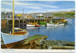 MALLAIG : HARBOUR (FISHING BOATS)  (10 X 15cms Approx.) - Inverness-shire