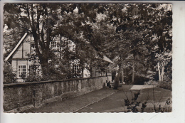 4450 LINGEN, Heimatmuseum, 1959 - Lingen