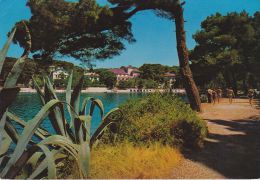 Cp , YOUGOSLAVIE , MALI LOSINJ - Yugoslavia