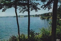 Cp , RÉGION , MIDI-PYRÉNÉES , Le Lac De Pareloup - Midi-Pyrénées