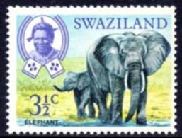 Swaziland - 1969 3½c Elephant (**) # SG 165 - Elefanten