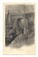Cp, 85, La Forêt De Mervent, Le Pont Du Déluge - Sonstige & Ohne Zuordnung