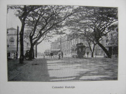 Sri Lanka -Ceylon -Colombo -Main Street   Tram  1911 -AV606.8 - Estampes & Gravures