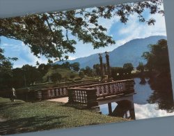 (636) Malaysia - Taiping Perak Lake - Malaysia