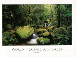 (103) Australia - QLD - Rainforest - Great Barrier Reef