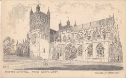 POSTCARD 1920 CA.  EXETER CATHEDRAL FROM NORTH EAST - Exeter