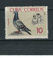 CUBA - Y&T N° 1021* - Colombophilie - Nuovi