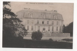 CANTELOUP - Le Château - Other & Unclassified