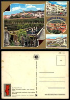 PORTUGAL COR 25610 - CASTELO BRANCO - Cidade De Grandes Tradições, Cheia De Igrejas Antigas - Castelo Branco