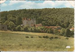 Delcampe - Cpsm, Brioude (Hte-Loire), Château De Saint-Laurent De Chabreuges - Brioude