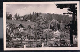 Altenberg - Bärenfels - Ortsansicht - Erzgebirge - Altenberg