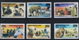 Cuba / 2006 / Michel 4848-4853 / Haustiere - Pets - Unused Stamps