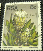 South Africa 1977 Cactus Protea Mundii 8c - Used - Gebraucht