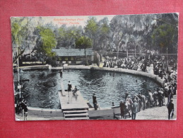 - Florida > Tampa  Sulphur Springs Pool  1916 Cancel Ref 1134 - Tampa