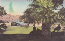 Arizona Tucson The Mian Patio OF The Lodge On The Desert Overlooking The Lovely Santa Catalina Mountain Albertype - Tucson