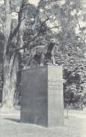 Vermont Burlington The Catamount At Bennington Mascot Of The University Of Vermont Albertype - Burlington