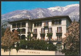 LOCARNO MURALTO Hotel Albergo CAMELIA 1987 - Muralto