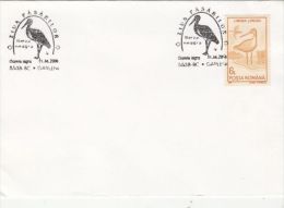 BIRDS, BLACK STORK, SPECIAL POSTMARK ON COVER, 2000, ROMANIA - Storchenvögel