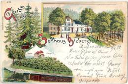 Gruss Vom Zollhaus Bieberstein Schloss OT Von Reinsberg Erzgebirge Color Litho 7.8.1899 Rechteckstempel Marke Entf - Reinsberg (Sachsen)