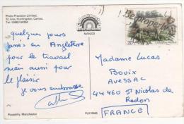 Timbre " Chillingham Wild Bull "  / Carte , Postcard Du  ?? , Pli Angle Supérieur Gauche - Briefe U. Dokumente
