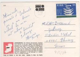 Timbre "  Waterford Chamber Of Commerce "   / Carte , Postcard Du  07/05/87 - Cartas & Documentos