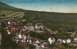 Falkenstein I. Taunus (Saxe) - Offizier Helm Mit Park (Casque D'Officier Et Parc) - Falkenstein (Vogtland)