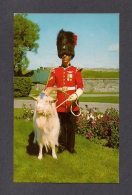 QUÉBEC - ROYAL 22e RÉGIMENT -  Soldier & Goat Mascot  22e Regiment At La Citadelle  - PHOTO LAVAL COUET - Québec - La Citadelle