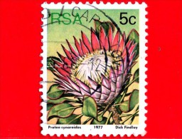 RSA - SUD AFRICA - 1977 - Fiori - Piante ( Flora ) - Protea Cynaroides - 5 - Usati