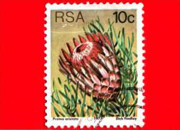 RSA - SUD AFRICA - 1977 - Sugarbushes - Protea Aristata - 10 - Oblitérés