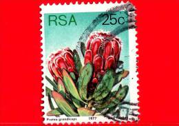 RSA - SUD AFRICA - 1977 - Sugarbushes - Protea Grandiceps - 25 - Oblitérés