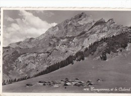 Suisse - Taveyannaz Et Le Culard  - Postmark Cachet Gryon - Gryon