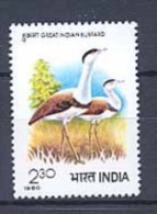 INDE 0643 Faune: Les Outardes - Geese