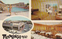 Arizona Tucson Flamingo Motor Hotel - Tucson