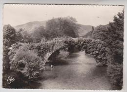 CPM DPT 64 ST ETIENNE DE BAIGORRY, UN VIEUX PONT AU PAYS BASQUE - Saint Etienne De Baigorry