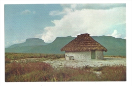 Cp, Venezuela, Paisaje En La Gran Sabana - Venezuela